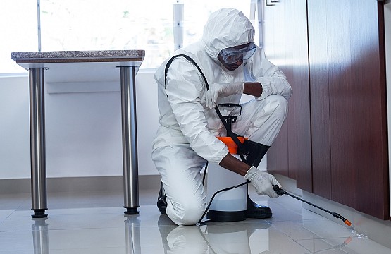 Interventions désinfection souris rongeurs Paris 75012