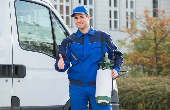 service de désinfection souris rongeurs paris 75012